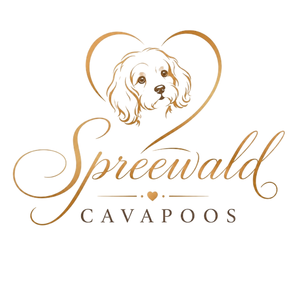 Spreewald Cavapoos Logo