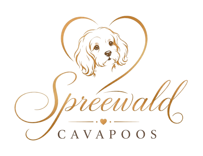 Spreewald Cavapoos Logo