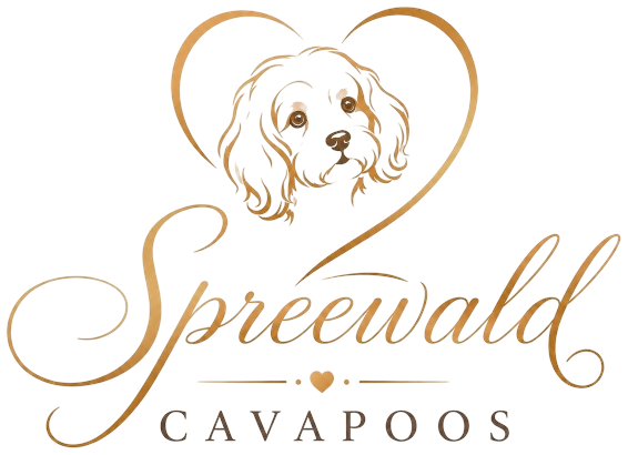 Spreewald Cavapoos Logo