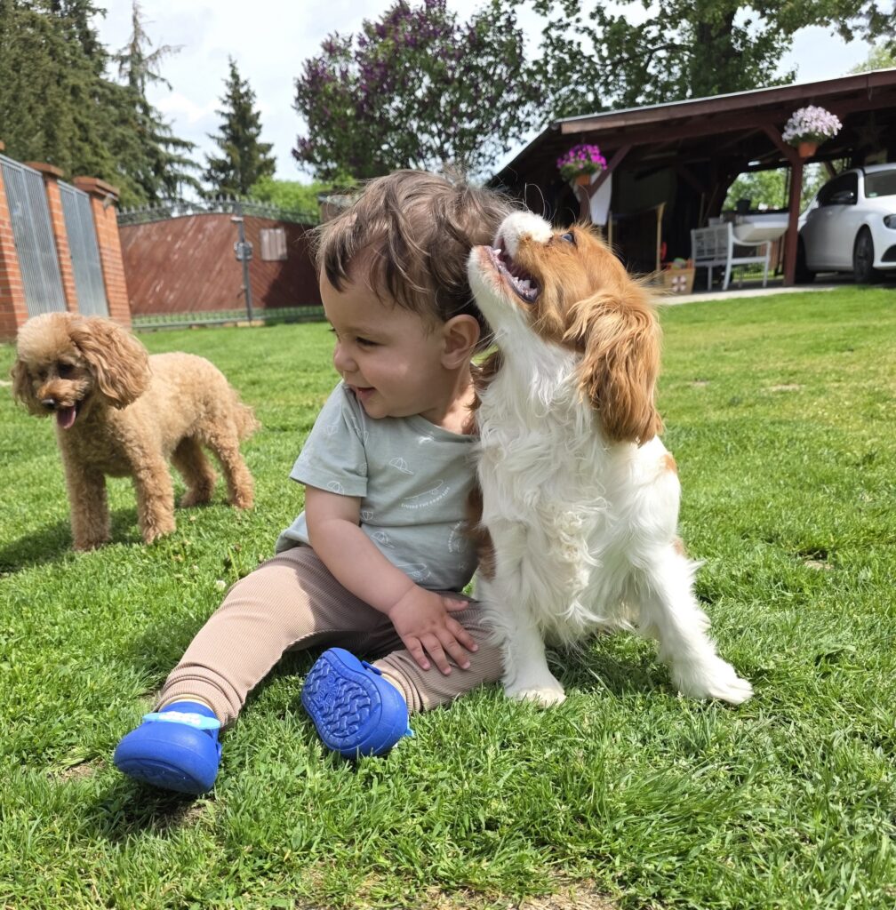 Kinder und Hunde
